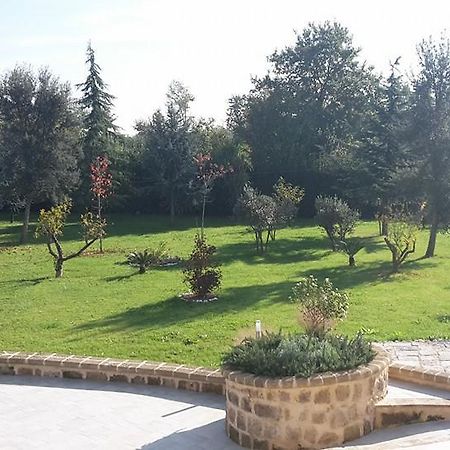 Tenuta Terra Tefra Villa Conca della Campania Exterior foto